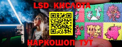 PSILOCYBIN Бердск