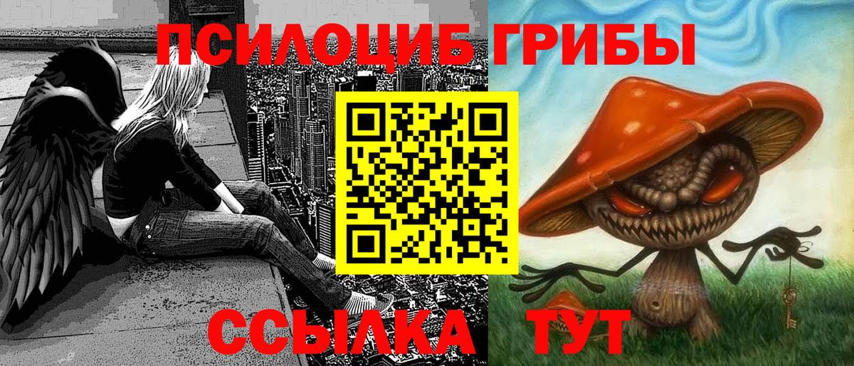 Большой Камень  Псилоцибиновые грибы мицелий  Вход с VPN  Галлюциногенные грибы GOLDEN TEACHER 