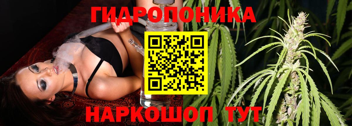 Марихуана планчик  Вход с VPN  Канабис индика  Большой Камень 